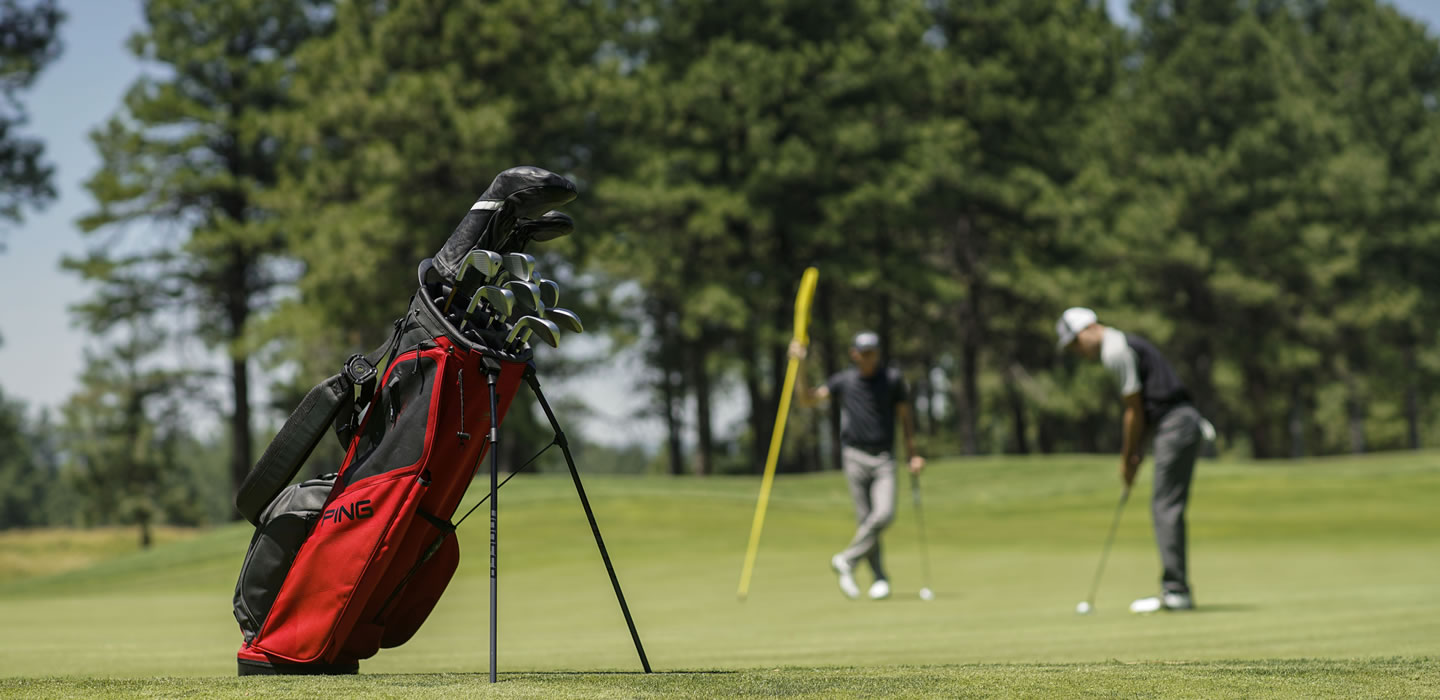 Ping bag with golfers putting in background